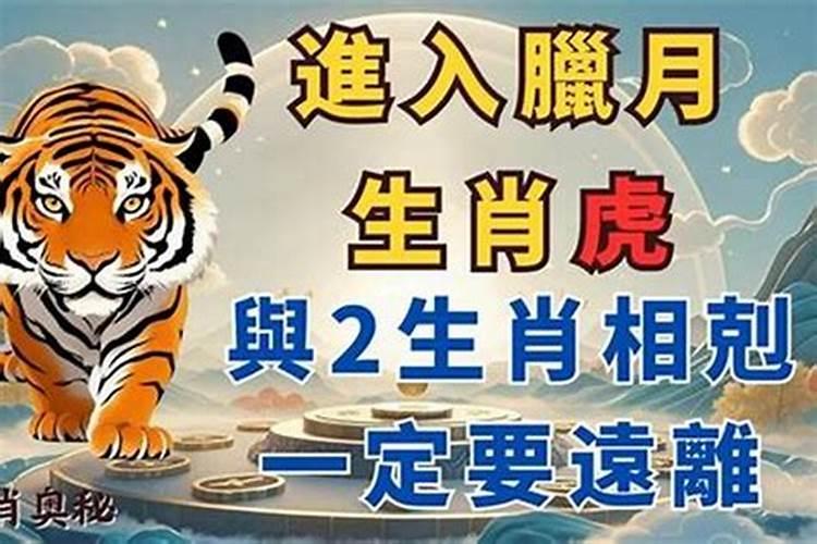 属虎人2025全年运势详解 属虎人2025年每月运势