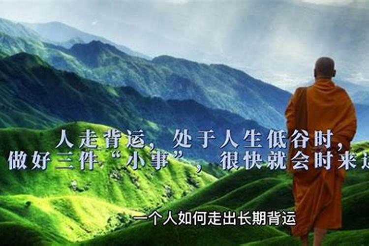 2025虎人运势运程