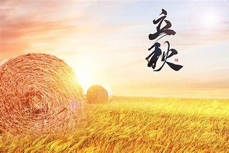 77年属蛇2025的运势