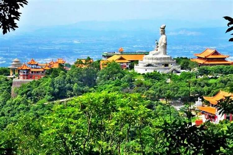 养太岁最新方法