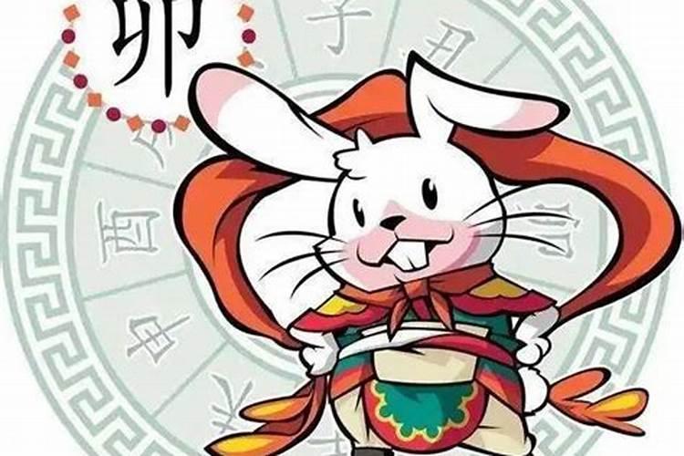 兔年犯太岁的生肖