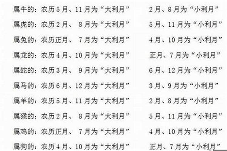 属马男和什么属相较配 属马的较佳配偶属相