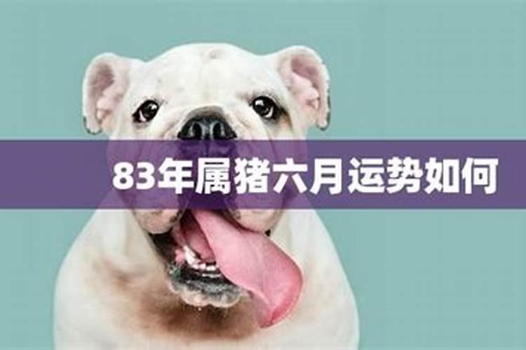...怎么说,请问..两个人八字合不合这个怎么看？可以举例吗？