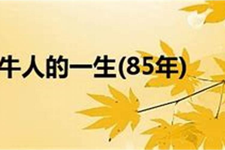 1994年属狗女2025年运势