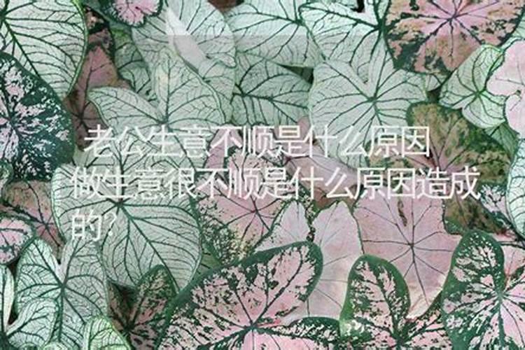 怎么样化解生意不顺 不顺利怎么破解？