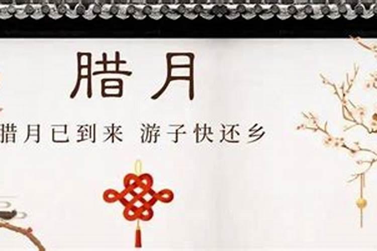 属猴2025年犯太岁吗