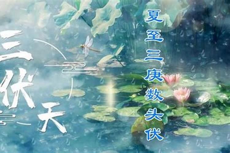 80年属猴女在2025年每月运势