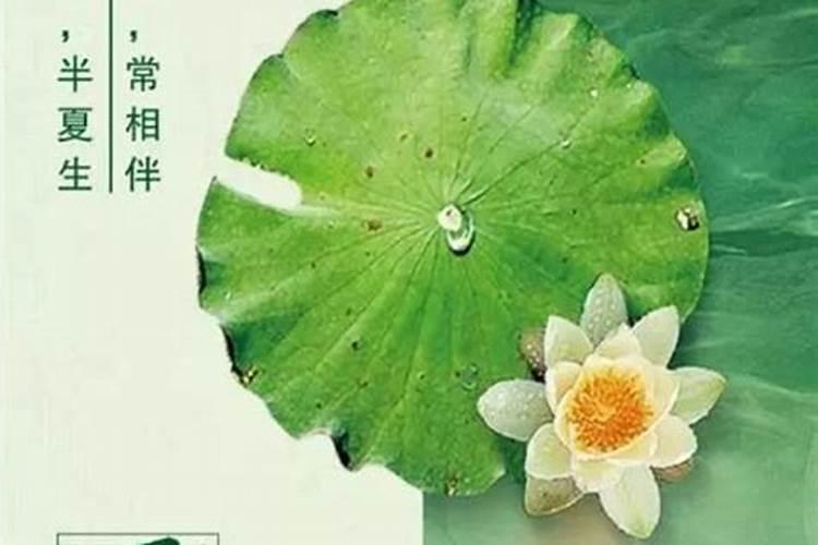 本人1970年农立3月15生人是什么星座