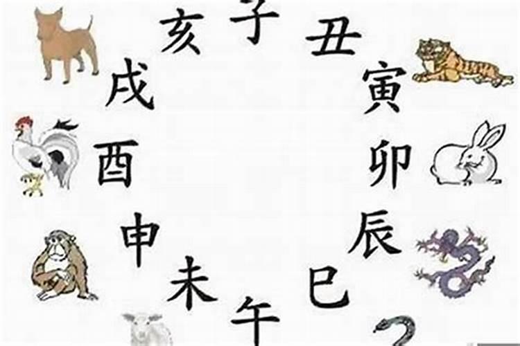 2025年十二生肖6月运势