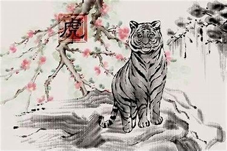 1986年女虎2025年运势完整版