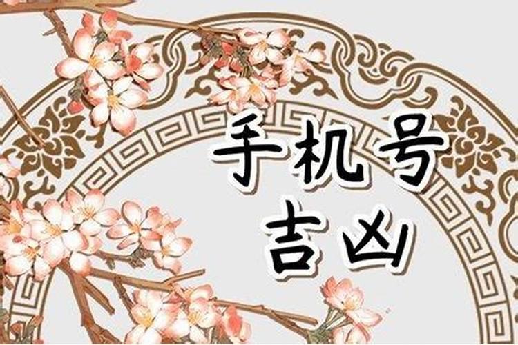 70年狗2025年的运势及运程