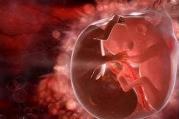 挑结婚日子按女生生辰还是按男生生辰