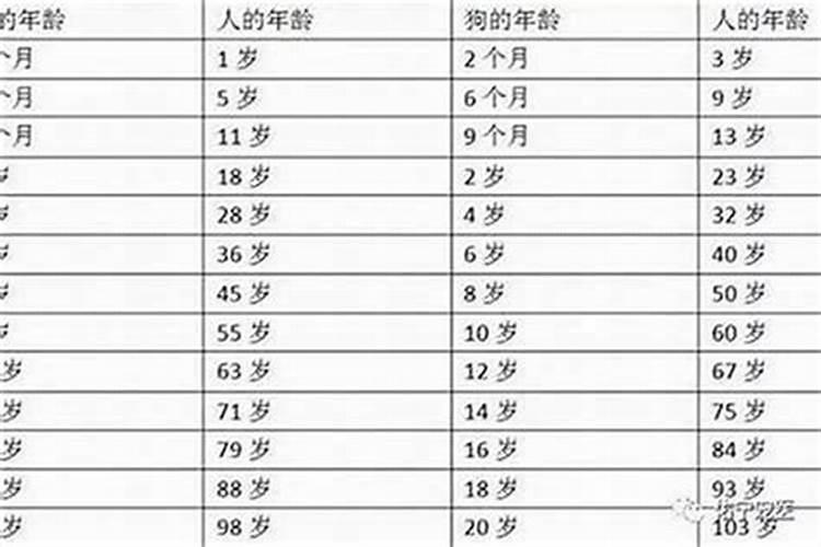 2025年本命年多少岁