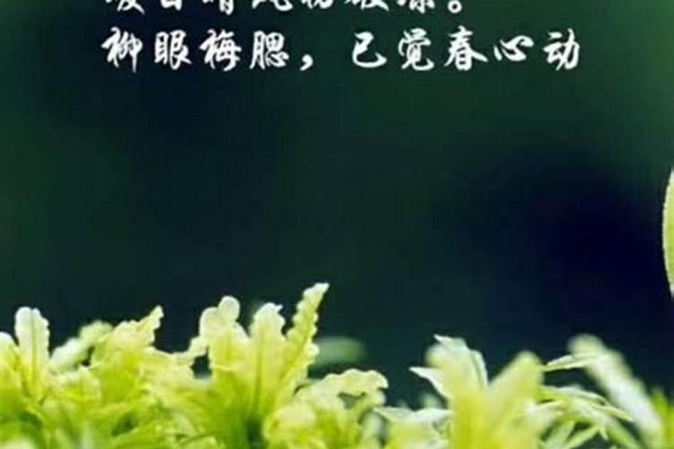 属牛男和属龙女的姻缘配吗 属牛与属龙做夫妻合适吗