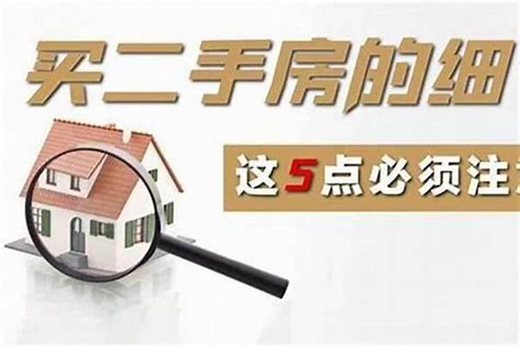 驿马是什么意思,驿马在八字中的作用影响