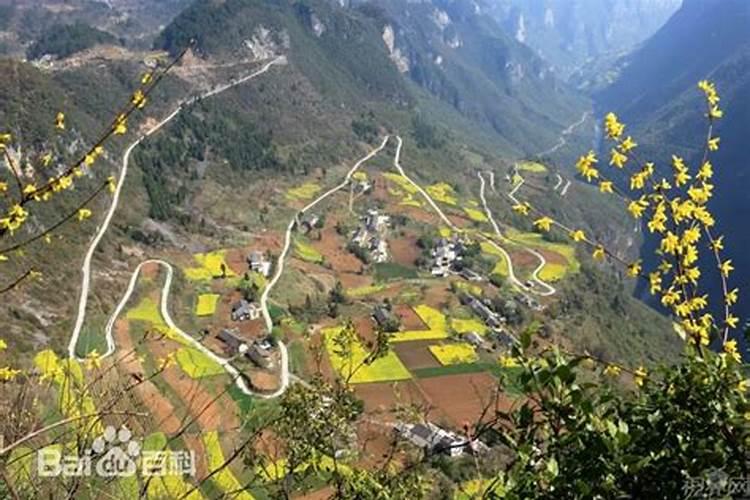 梦见陌生人住进我家的预兆
