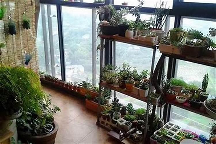 梦见龙而且下雨是什么意思