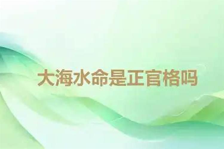 生肖蛇2025年运势及运程如何