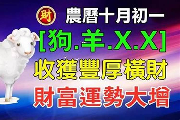 93年出生属鸡人今年婚姻2024 单身属鸡人今年吸引异性
