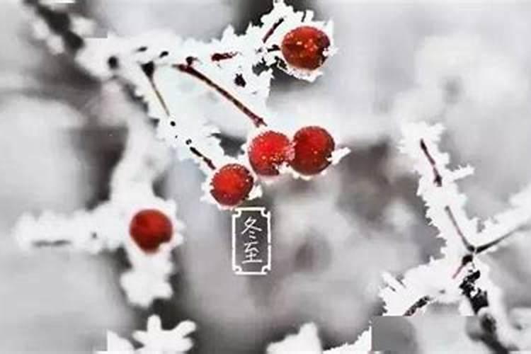 立夏节气的特点和风俗有哪些？