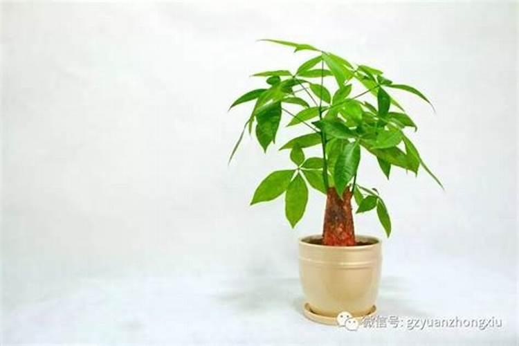 运气不好的人怎样改变自己的运气和财运