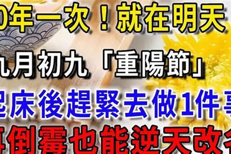 属狗男人和属猴女人相配吗