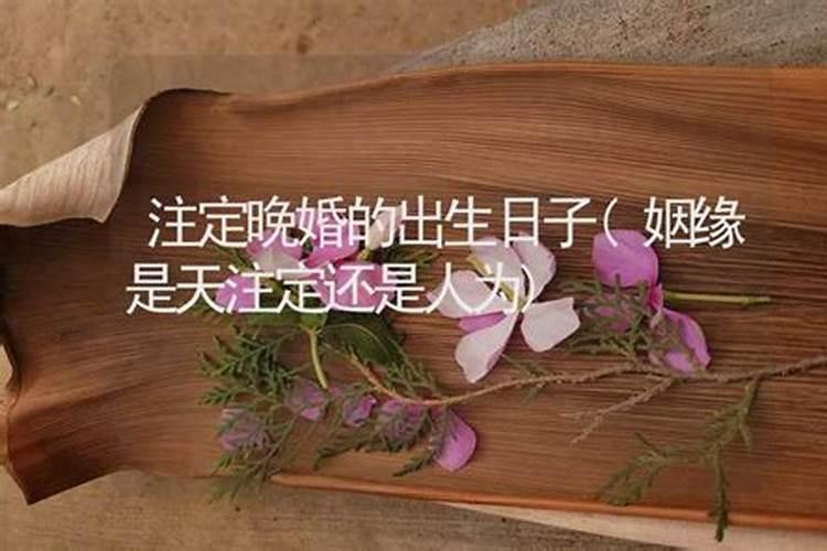 婚姻缘份真的是老天注定的吗？  知乎