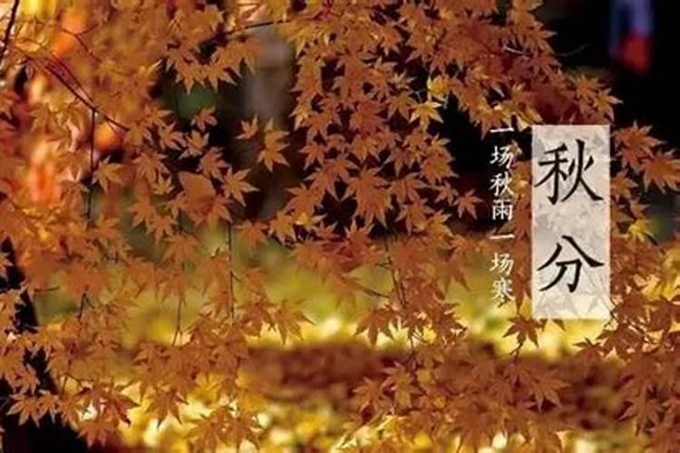 怎么从八字看寿命长短