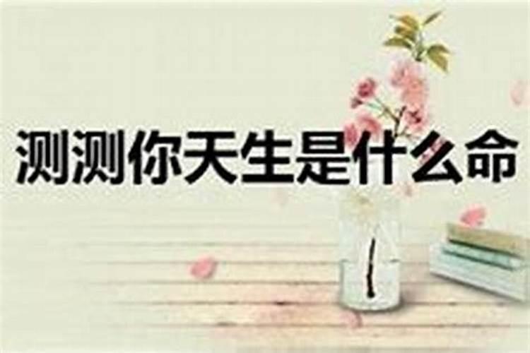 八字不合是什么意思