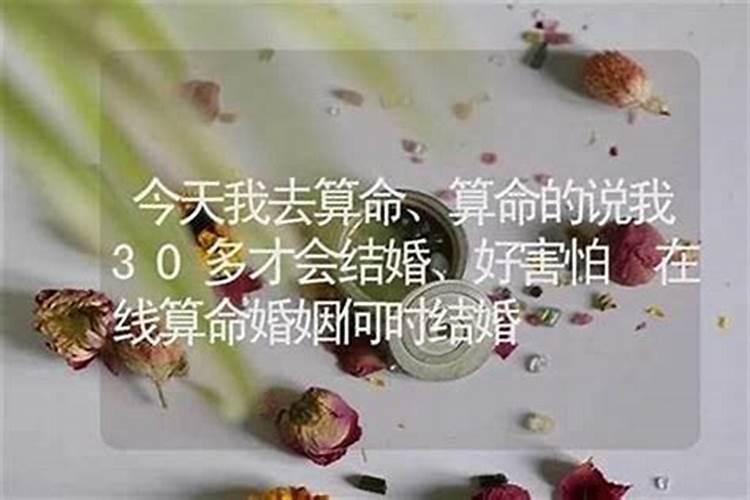 1962年属虎2024年运势及运程男女性 62虎的今年每月运势