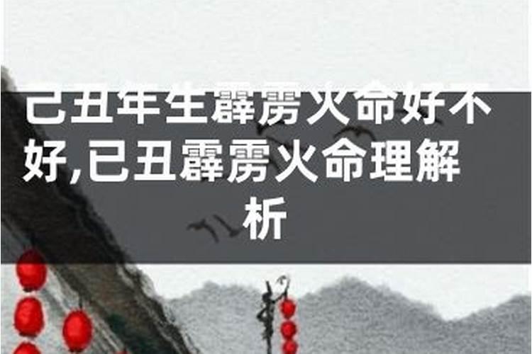 己丑日是什么意思