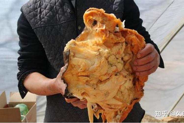 太岁是什么？挖到太岁之后该怎么处理？吃太岁肉会有凶兆吗？