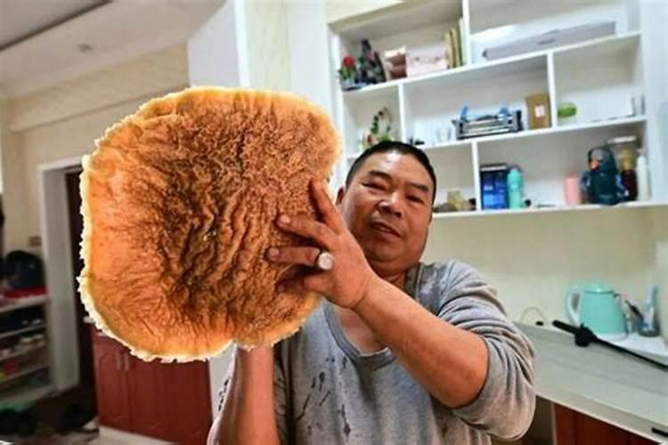 拜太岁毛巾一年后怎么处理,挖到太岁怎么处理