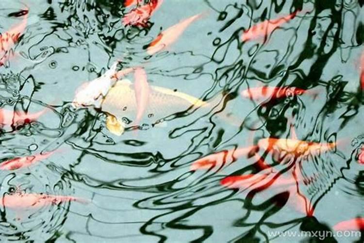 1996属鼠的运势和财运,1996年属鼠人适合发展的方位