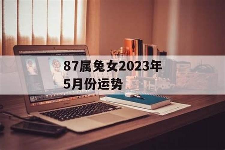 属兔人2025年运势及运程每月运程