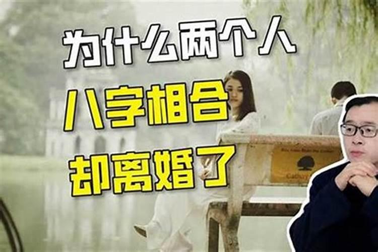1943年属羊的是什么命