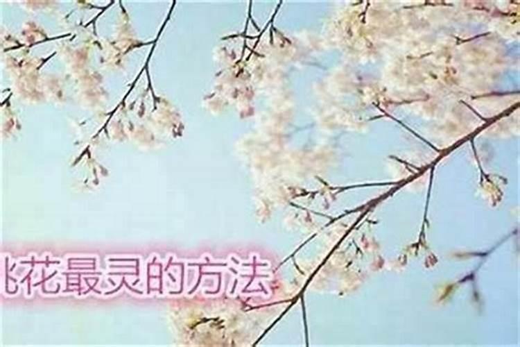 邓紫棋演唱会2025年行程
