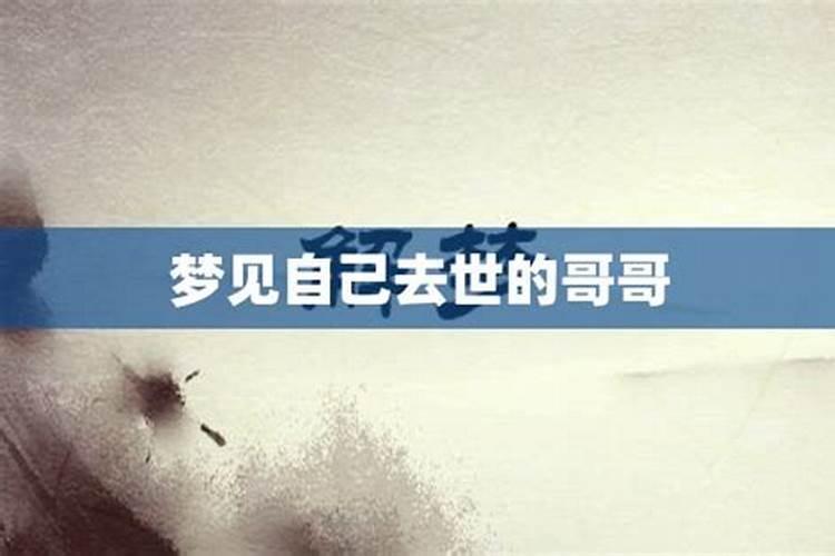 2025年十二生肖每月运势详解