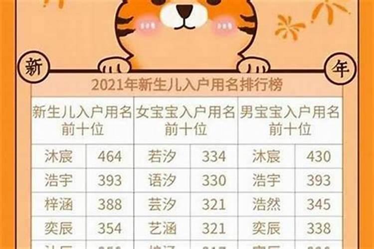 属虎宝宝取名大全