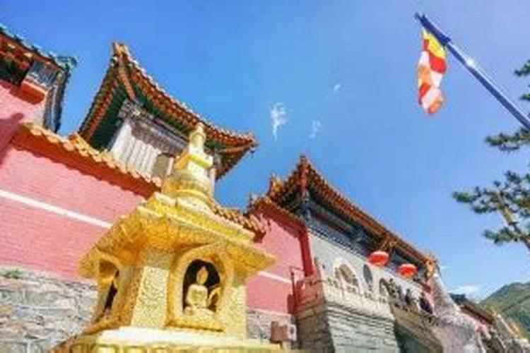 2025年犯太岁的生肖猴怎么化解 2025年犯太岁的生肖猴怎么躲星
