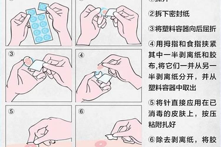成都端午节有什么活动