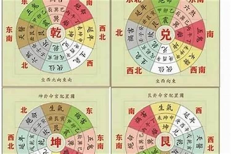 狗年犯太岁的五大生肖,哪些方面最严重