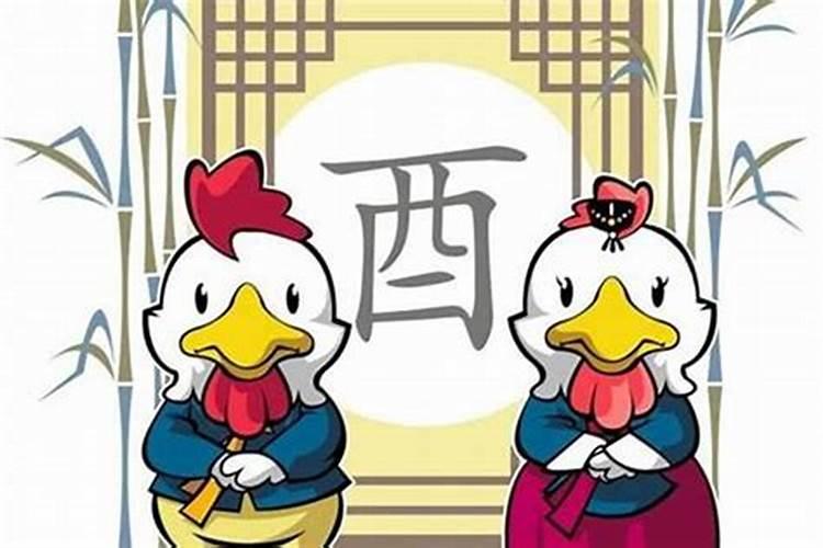 男属兔女属鸡婚姻状况 男鸡女兔适合做夫妻吗