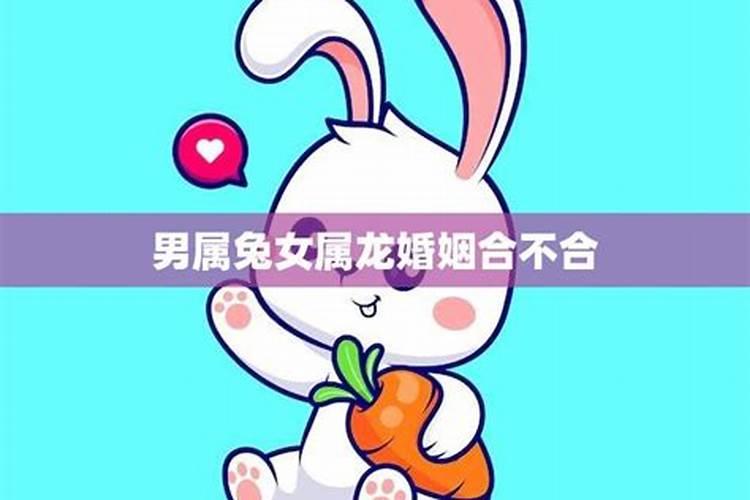 63年属兔配69年属鸡可以吗