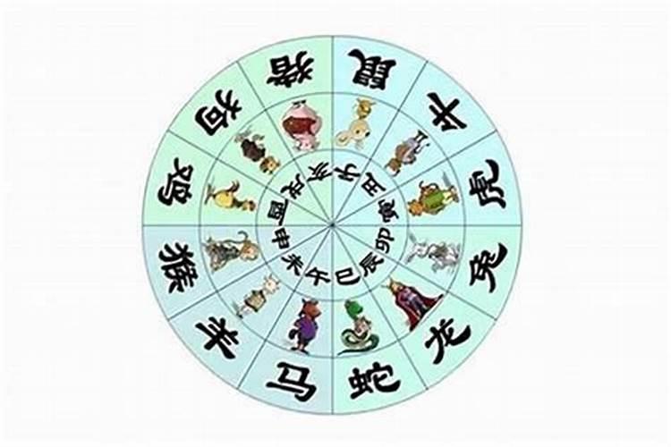生肖蛇2025年运势及运程如何