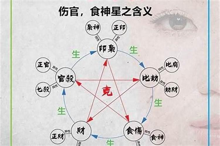 属狗的人犯太岁如何去化解？
