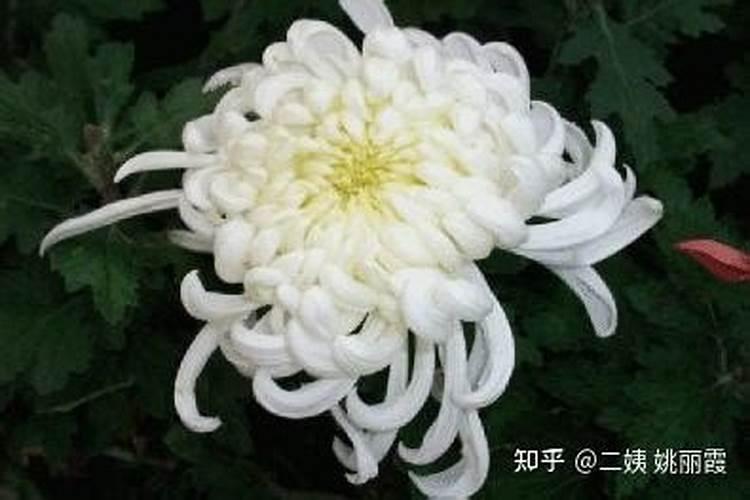 农村死了人后为什么过五七,(三十五天)后在祭拜