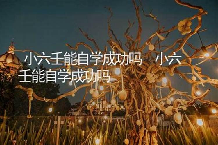 大六壬和小六壬算婚姻吗