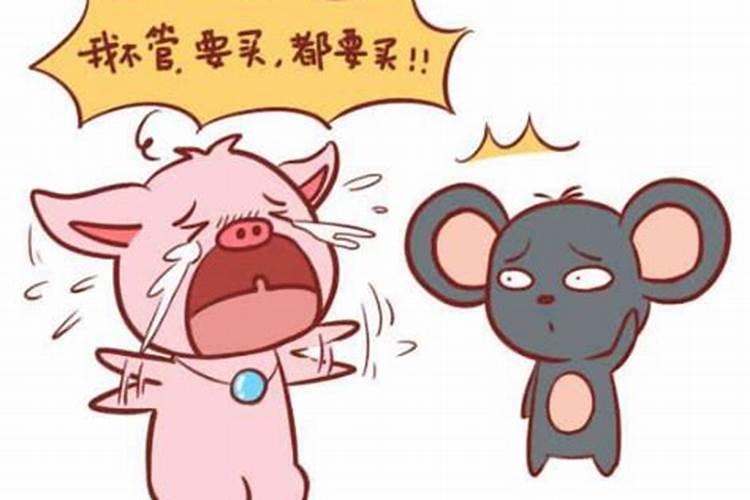 女猪男鼠爱情能幸福美满吗 生活相处和谐