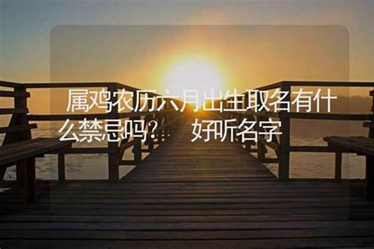属鸡男生于六月二十四日命运如何